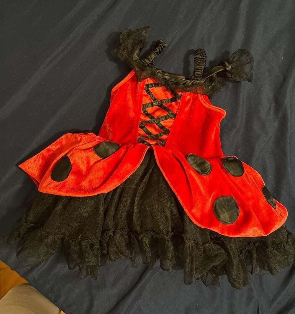 Fairy Dust Toddler Girls Ladybug Halloween Costume Size 4T
